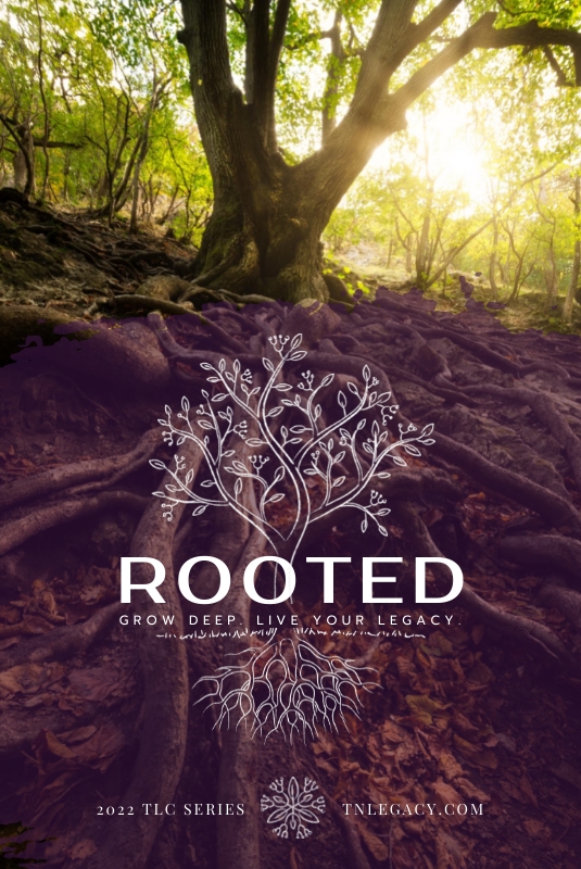 Rooted Series